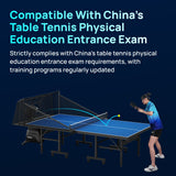 Table Tennis Machine SS-P6