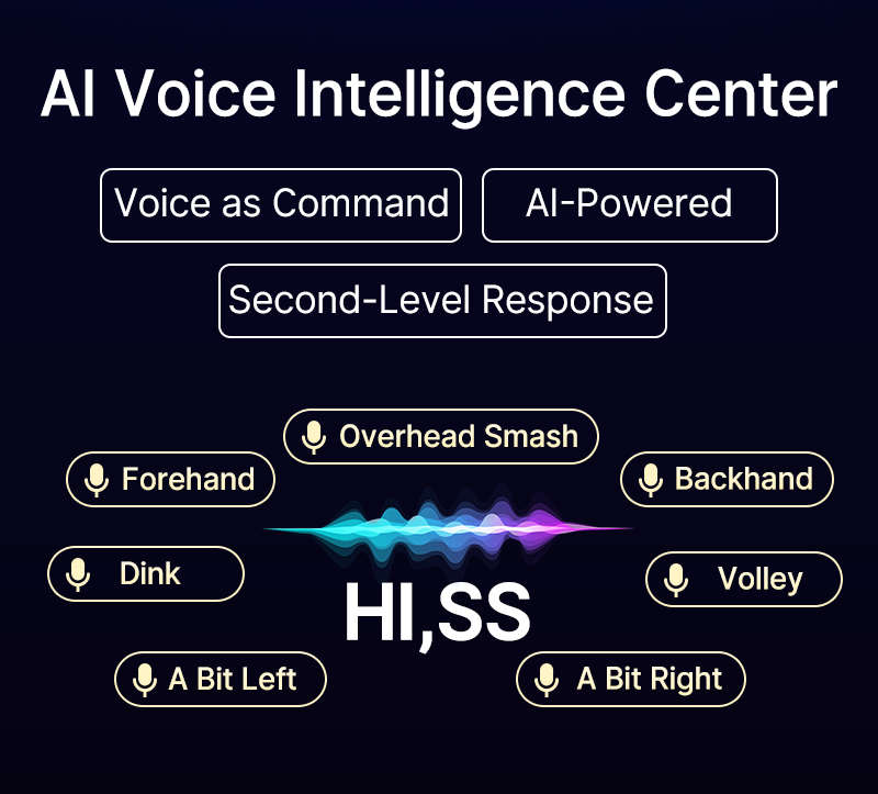 Pickleball Machine SS-C6